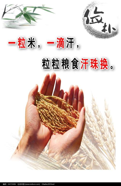 哥伦比亚学院芝加哥校区文凭毕业证作假
